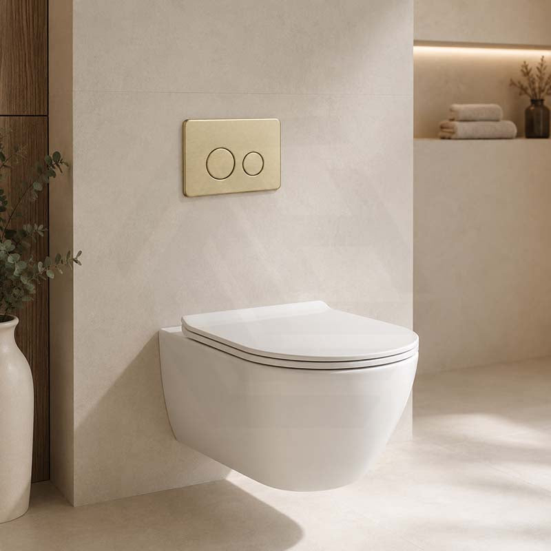 R&T Round Stainless Steel Toilet Button for In-wall Concealed Cistern G30032/G30031 - Variant Colour