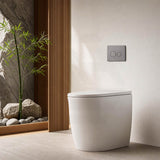 R&T Round Stainless Steel Toilet Button for In-wall Concealed Cistern G30032/G30031 - Variant Colour