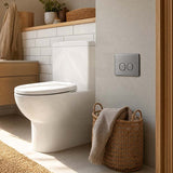 R&T Round Stainless Steel Toilet Button for In-wall Concealed Cistern G30032/G30031 - Variant Colour
