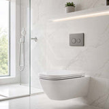 R&T Round Stainless Steel Toilet Button for In-wall Concealed Cistern G30032/G30031 - Variant Colour