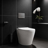 R&T Round Stainless Steel Toilet Button for In-wall Concealed Cistern G30032/G30031 - Variant Colour