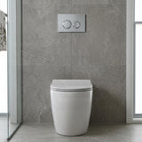 R&T Round Toilet Button G3005007 for In-wall Concealed Cistern G3005/G3005F - Variant Colour