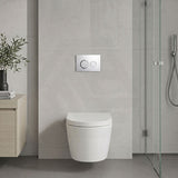 R&T Round Toilet Button G3005007 for In-wall Concealed Cistern G3005/G3005F - Variant Colour