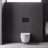 R&T Round Toilet Button G3005007 for In-wall Concealed Cistern G3005/G3005F - Variant Colour