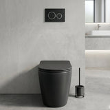 R&T Round Toilet Button G3005007 for In-wall Concealed Cistern G3005/G3005F - Variant Colour