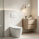 R&T Round Toilet Button G3005007 for In-wall Concealed Cistern G3005/G3005F - Variant Colour
