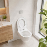 R&T Toilet Flush Button G3005008 for In-wall Concealed Cistern G3005/G3005F - Variant Colour