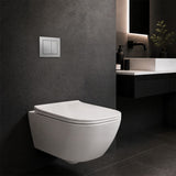R&T Toilet Flush Button G3005008 for In-wall Concealed Cistern G3005/G3005F - Variant Colour