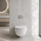 R&T Toilet Flush Button G3005008 for In-wall Concealed Cistern G3005/G3005F - Variant Colour