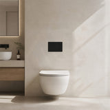 R&T Toilet Flush Button G3005008 for In-wall Concealed Cistern G3005/G3005F - Variant Colour