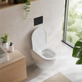 R&T Toilet Flush Button G3005008 for In-wall Concealed Cistern G3005/G3005F - Variant Colour