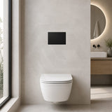 R&T Toilet Flush Button G3005008 for In-wall Concealed Cistern G3005/G3005F - Variant Colour