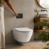 R&T Toilet Flush Button G3005008 for In-wall Concealed Cistern G3005/G3005F - Variant Colour