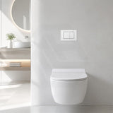 R&T Toilet Flush Button G3005008 for In-wall Concealed Cistern G3005/G3005F - Variant Colour