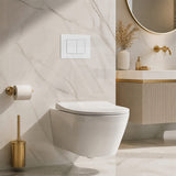 R&T Toilet Flush Button G3005008 for In-wall Concealed Cistern G3005/G3005F - Variant Colour