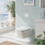 R&T Toilet Flush Button G3005008 for In-wall Concealed Cistern G3005/G3005F - Variant Colour
