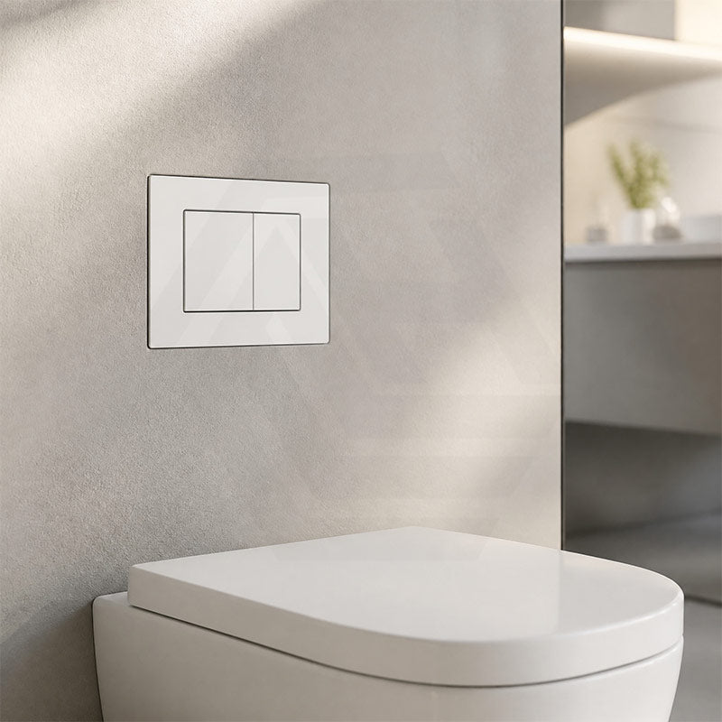 R&T Toilet Flush Button G3005008 for In-wall Concealed Cistern G3005/G3005F - Variant Colour
