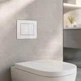 R&T Toilet Flush Button G3005008 for In-wall Concealed Cistern G3005/G3005F - Variant Colour