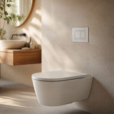 R&T Toilet Flush Button G3005008 for In-wall Concealed Cistern G3005/G3005F - Variant Colour