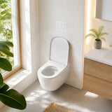 R&T Toilet Flush Button G3005008 for In-wall Concealed Cistern G3005/G3005F - Variant Colour