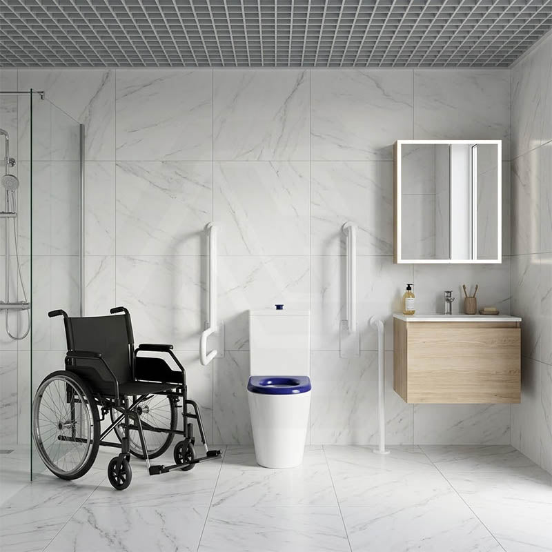 Lukka Hadden Rimless Flush Back to Wall Care Toilet Suite 800x360x865mm - Blue/Grey Seat & Flush Button