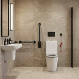 Lukka Hadden Rimless Flush Back to Wall Care Toilet Suite 800x360x865mm - Blue/Grey Seat & Flush Button