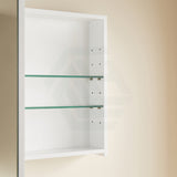 Lukka Allison 600x900x150mm Arch Shaving Cabinet Variant Colour Available