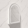 600x900x155mm Lukka Allison Frontlit LED Mirror Arch Shaving Cabinet 3 Colours Lighting Matt Black/Matt White