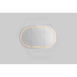900/1200/1500mm Lukka Allison Pill Shape Frontlit LED Mirror Oval Shaving Cabinet 3 Colours Lighting Matt Black/Matt White