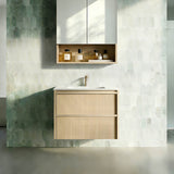 Lukka Ridgewood 600mm Modern Wall Hung Vanity Plywood Cabinet Variant Colour Available