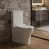 Lukka Orta Tornado Rimless Back to Wall Toilet Suite 700x385x841mm - Gloss White