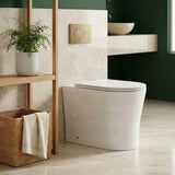Lukka Orta Tornado Rimless Wall Faced Floor Toilet Pan Only 570x360x430mm - Gloss / Matt White Available