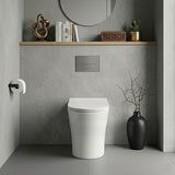 Lukka Orta Tornado Rimless Wall Faced Floor Toilet Pan Only 570x360x430mm - Gloss / Matt White Available