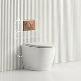 Lukka Procida Rimless Wall Faced Toilet with Sigma8 Inwall Cistern & Sigma41 Buttons - Gloss White
