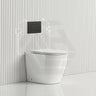 Lukka Procida Rimless Wall Faced Toilet with R&T Inwall Cistern & Buttons - Gloss White