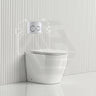 Lukka Procida Rimless Wall Faced Toilet with R&T Inwall Cistern & Buttons - Gloss White