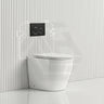 Lukka Procida Rimless Wall Faced Toilet with R&T Inwall Cistern & Buttons - Gloss White