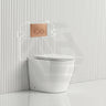 Lukka Procida Rimless Wall Faced Toilet with R&T Inwall Cistern & Buttons - Gloss White