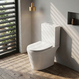 Lukka Roccia Tornado Rimless Close Coupled Toilet Suite 600x390x805mm - Gloss White