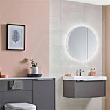 600mm Round Luminaire LED Backlit Mirror Shaving Cabinet Pencil Edge White
