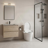Intelligent Electric Bidet Toilet Seat with Instant Heating & Auto Washer For Toilet 496/528x406x145mm - Gloss White