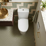 Intelligent Electric Toilet Cover Seat with Auto Washer and Air Dryer for toilet 496/528x406x145mm - White