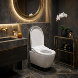 Intelligent Electric Remote Control Toilet Cover Seat with Instant Water Heating and Air Dryer for toilet