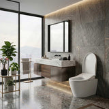 Intelligent Electric Remote Control Toilet Cover Seat with Instant Water Heating and Air Dryer for toilet