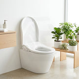 Intelligent Electric Remote Control Toilet Cover Seat with Instant Water Heating and Air Dryer for toilet