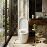 Intelligent Electric Remote Control Toilet Cover Seat with Instant Water Heating and Air Dryer for toilet