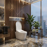 Intelligent Electric Remote Control Toilet Cover Seat with Instant Water Heating and Air Dryer for toilet