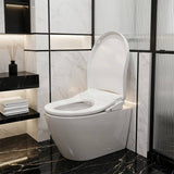 Intelligent Electric Remote Control Toilet Cover Seat with Instant Water Heating and Air Dryer for toilet