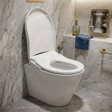 Intelligent Electric Remote Control Toilet Cover Seat with Instant Water Heating and Air Dryer for toilet