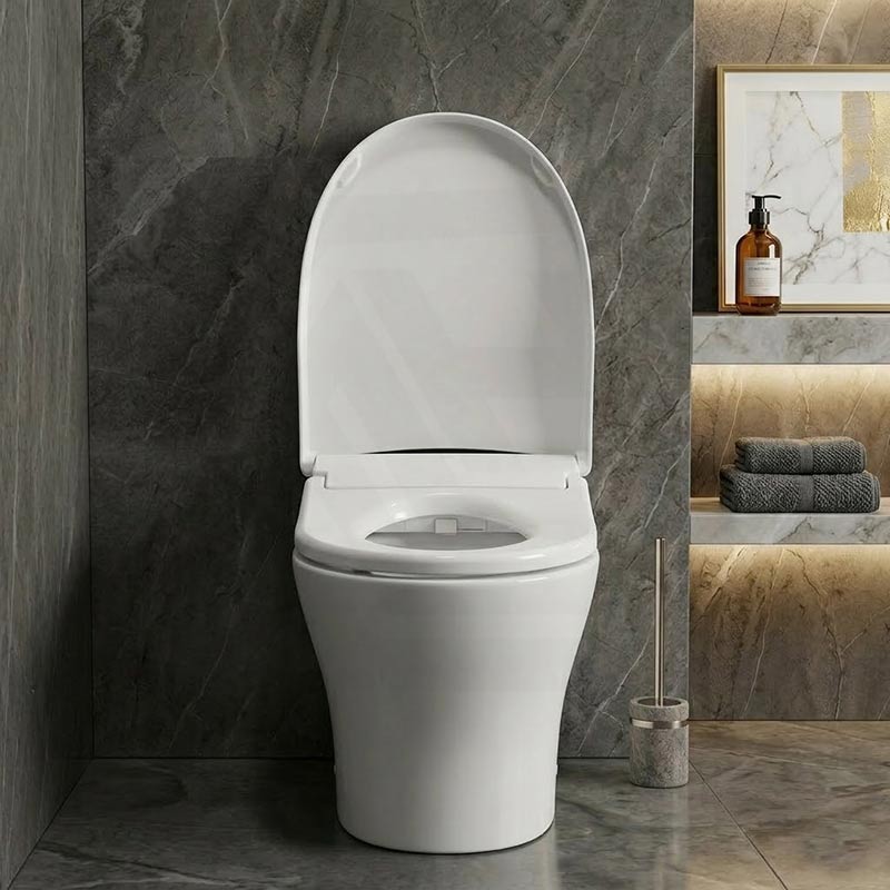 Intelligent Electric Remote Control Toilet Cover Seat with Instant Water Heating and Air Dryer for toilet